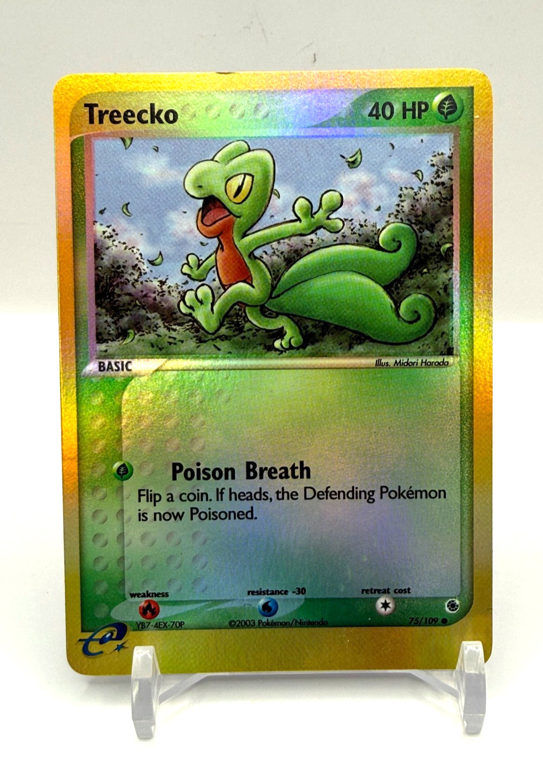 Pokemon EX Ruby & Sapphire Treecko 75/109 Reverse Holo NM
