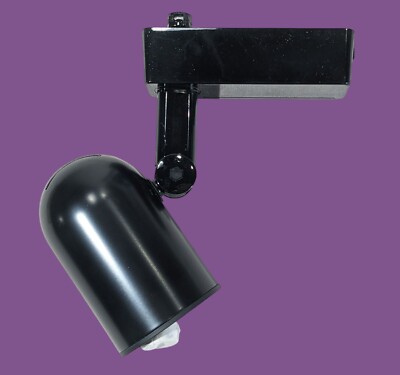 Lazer Lighting LZR405P 60° Aiming Black Track Light Fixture For Halo Systems