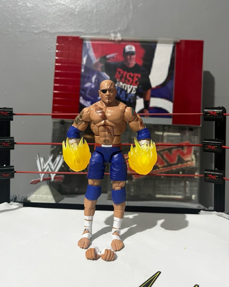 WWE Batista Sagat Street Fighter Elite Series 2 Mattel The Animal w Accessories