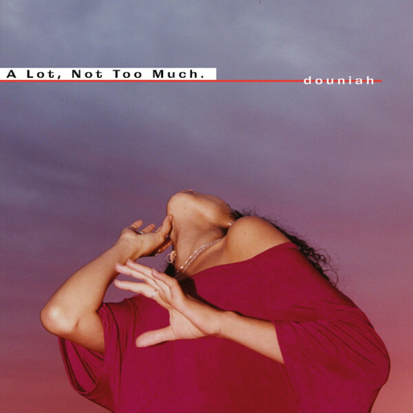 douniah A Lot, Not Too Much (Vinyl LP) 12" Album