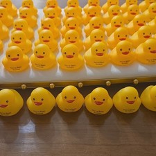 48pcs Yellow Rubber Duck Party Favors w/ Text "You've Been Ducked"