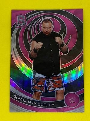 Bubba Ray Dudley WWE Panini Chronicles 2023 Pink Numbered Parallel /199 Spectra
