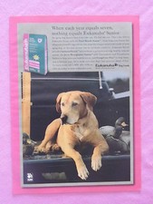 Página de anuncio de revista 1999 Eukanuba Senior comida para perros labrador anuncio impreso