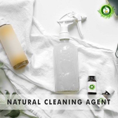 Aceite esencial puro de trementina Pinus Palustris destilado sin cortar para aliviar el dolor - Imagen 8 de 32