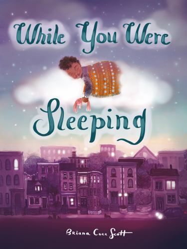 While You Were Sleeping by Briana Corr Scott (2023, Picture Book)