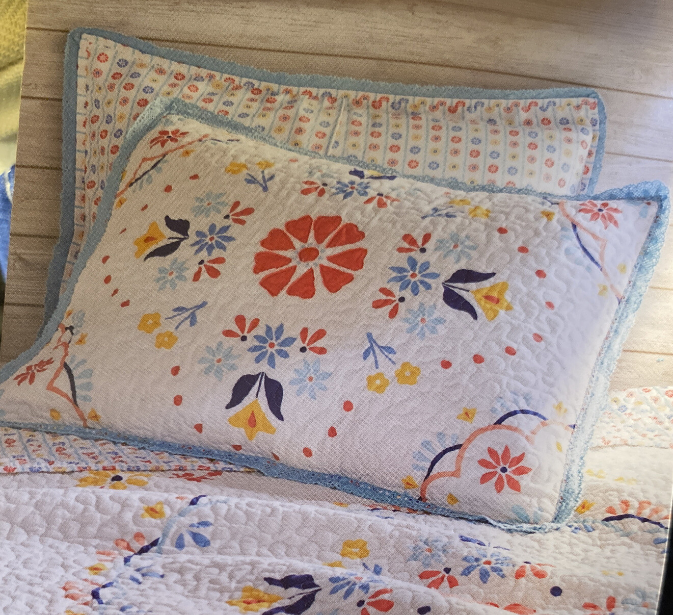 Pioneer Woman Pillow Cases