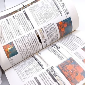 Resident Evil Code Veronica Dissection Manual SEGA Dreamcast 1st 2001 from Japan