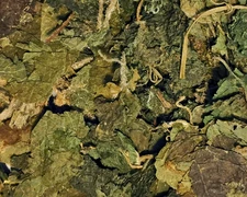 Stinging Nettle Leaf ~ Dried Herb ~ Urtica dioica ~ Organic Bulk Herbs 0.5-4 oz