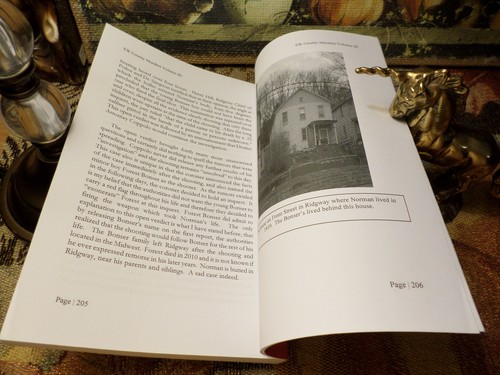 Elk County Murders & Mysterious Deaths (Volume III) 2020 SIGNED James T Baumgrat - Foto 9 di 10