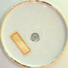 6 1/4" US Capitol Wash. DC Collector Plate, Hand Painted Porcelain Made in Japan — photo 4