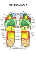 Reflexology Foot Poster 01 11x17 Mini Poster (28cm X43cm) Reflexology Foot Poster 01 11x17 Mini Poster (28cm X43cm)