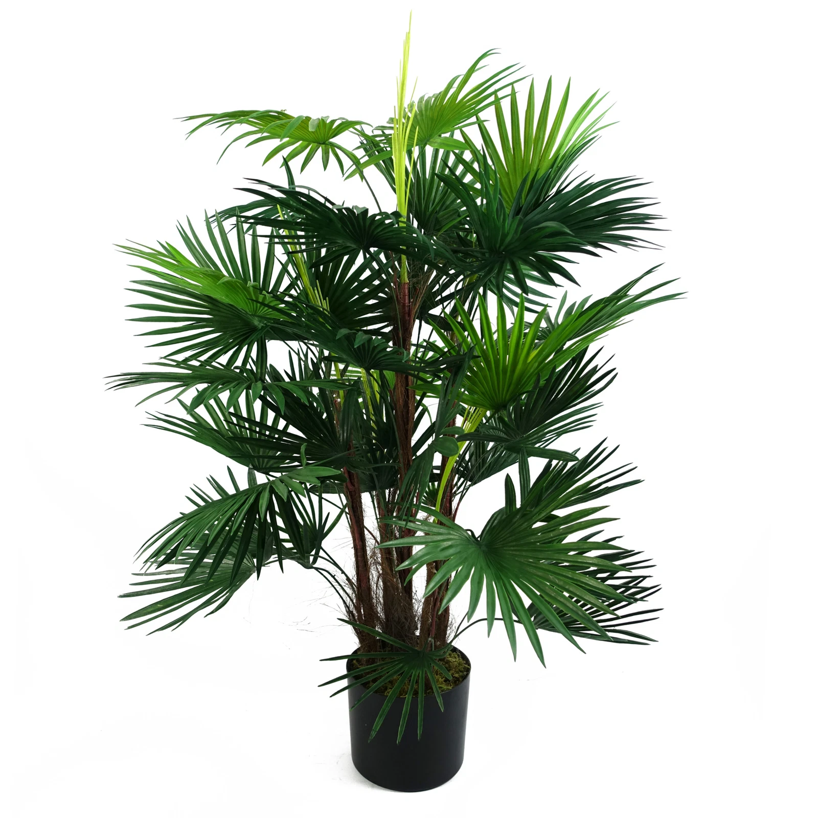 90cm Fan Palm - 40534