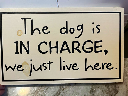 White Wood Wall Plaque "The dog is IN CHARGE, we just live here"