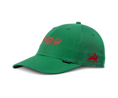 DJINNS Dad Cap Street Disco green