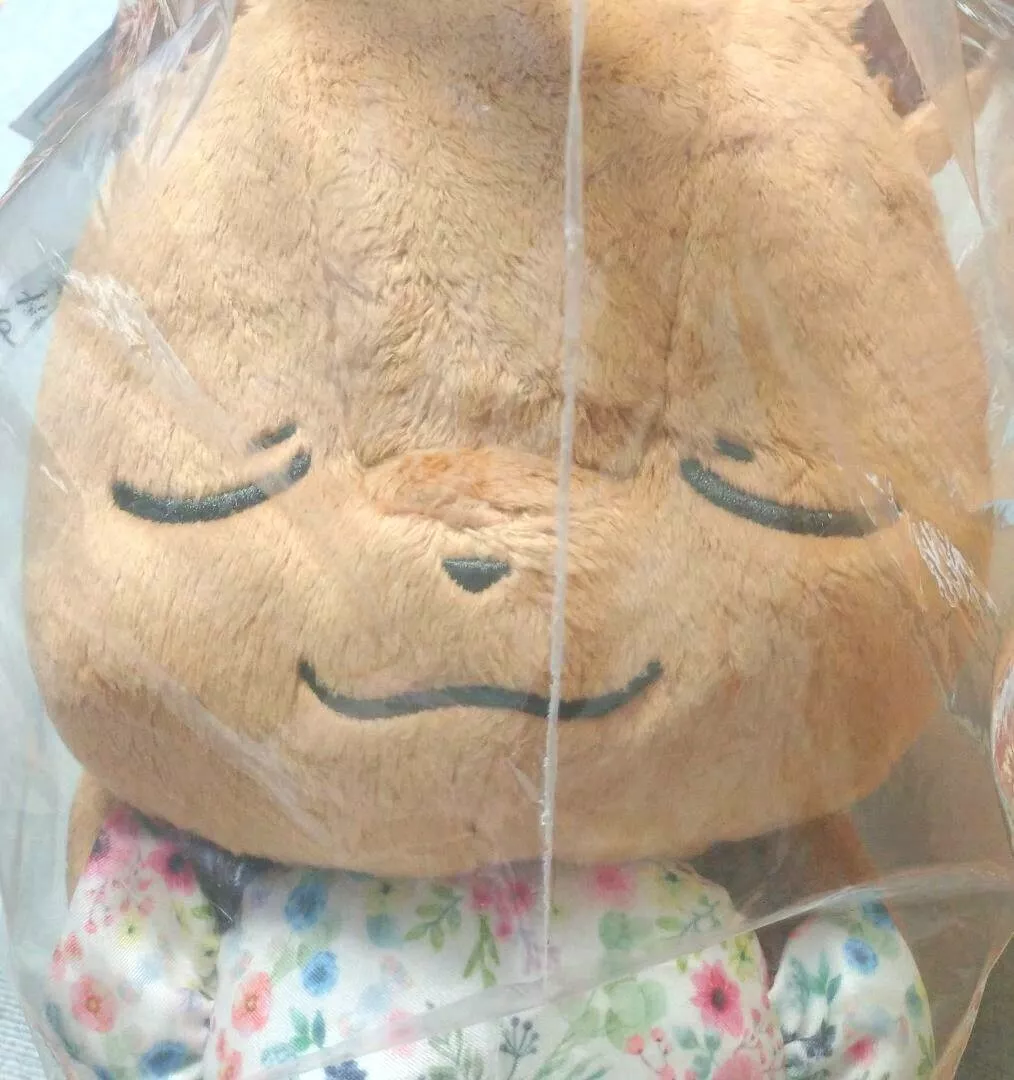 Sleepy eevee store plush