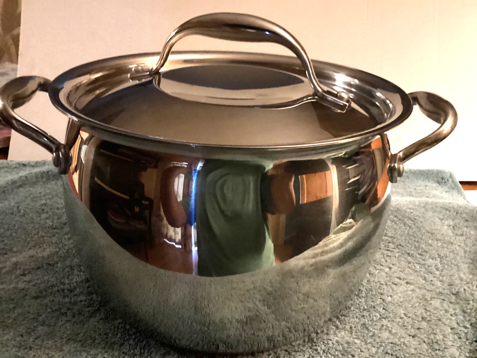 Kirkland Signature Professional Stainless Copper Core 8.5 QT Stockpot Italy
Opens in a new window or
