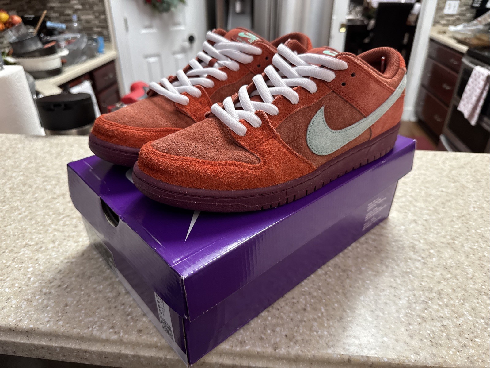 Dunk Low Sb - image 1