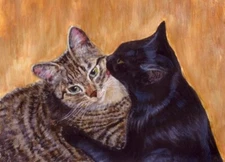 BCB Tabby Cat and Black Cat Affection Print of Painting ACEO Size 2.5 x 3.5 Inch