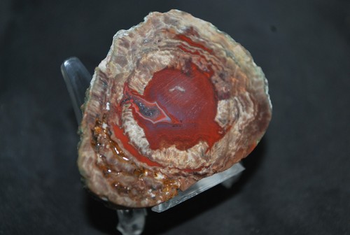 AGATES DE FRÉJUS ( VAR ) LITHOPHYSES DE L'ESTEREL - Imagen 5 de 5