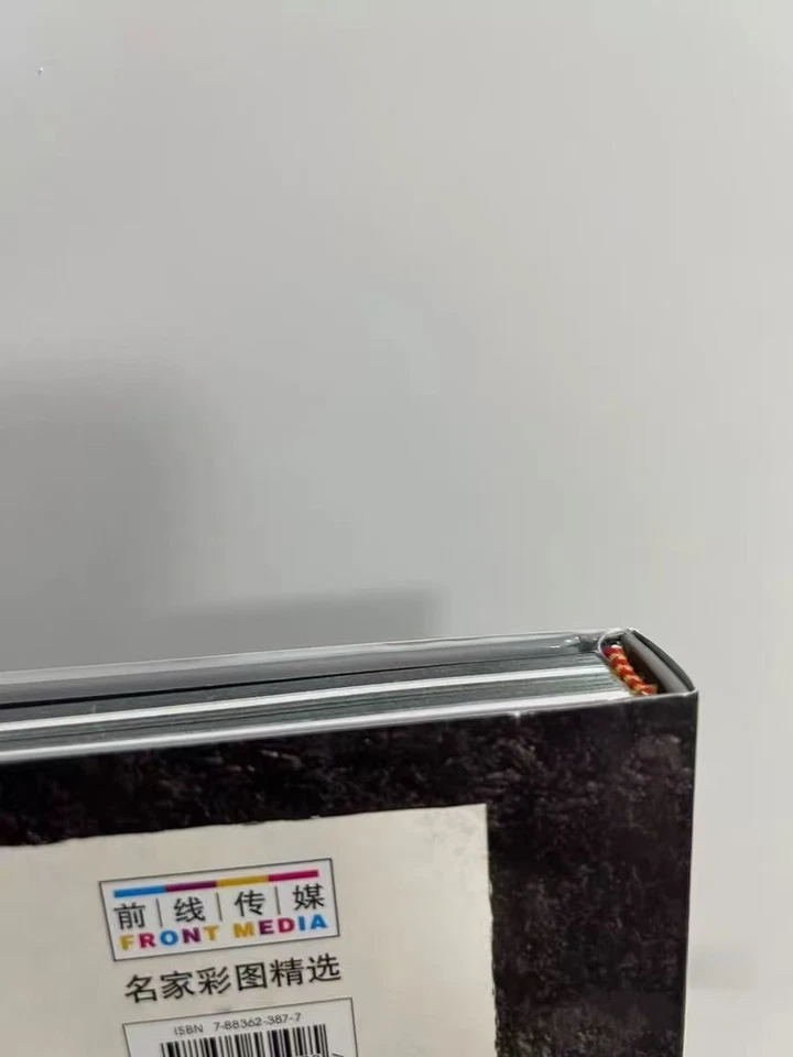 Kojima Ayami Art Book Santa Lilio Sangre - Chinese Edition Akai Yuri Collection - Image 4 of 4