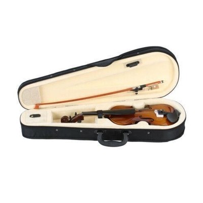Natural Full Size 1/8 Acoustic Violin w/ Case, Bow & Rosin, Beginner Fiddle