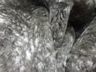 Bild 4 von 6