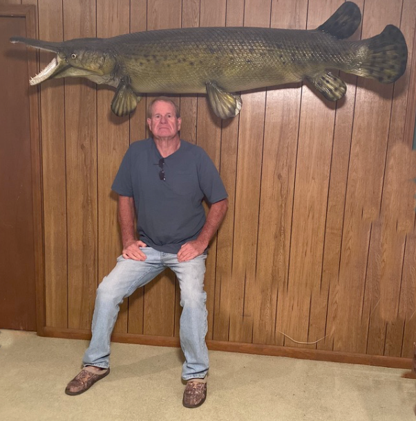 Real Skin 79" Alligator Gar Mount Taxidermy eBay