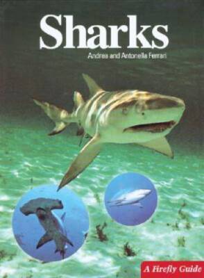 Sharks (A Firefly Guide) - Paperback By Ferrari, Andrea - GOOD