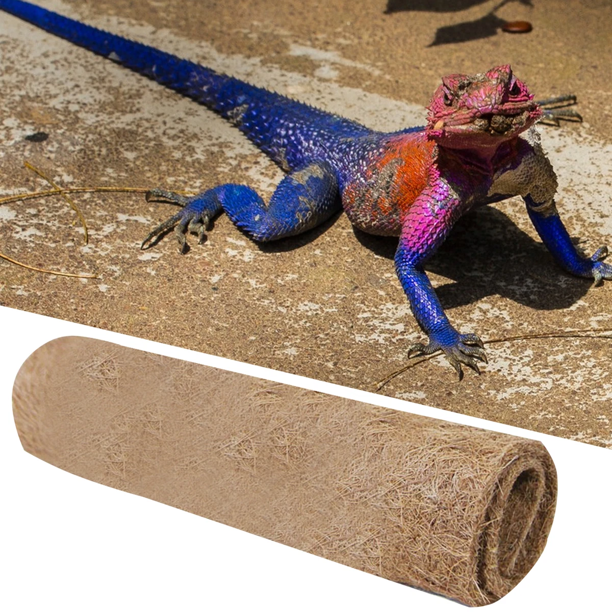 Reptile mat sales