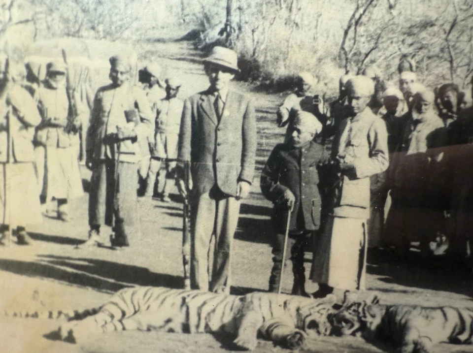 Fotografías antiguas originales del siglo XIX enmarcadas indias dobles caza de tigres sepia Foto 3 de 4