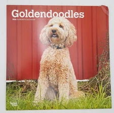 Goldendoodles 16-Month 2026 Calendar 840431903507