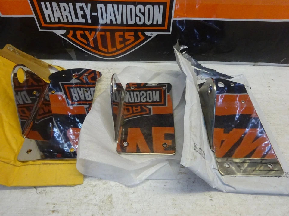 Harley BIG TWIN'S XL's CHOPPER'S CHOPPER'S CHOPPER'S CHOICE SS ЗАКАЗНЫЕ ПЛАСТИНЫ ДЛЯ КРЕПЛЕНИЯ ЗАДНЕГО ФОНАРЯ ОСИ - Изображение 3 из 4
