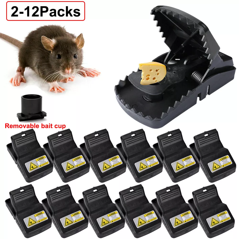 Humane Mouse Trap | Catch and Release Mouse Traps That Work | Mice Trap No  Kill for mice/Rodent Pet Safe (Dog/Cat) Best Indoor/Outdoor Mousetrap