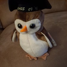 ty Beanie Babies - WISE the Owl Class of 07 '98 -With swing tag & Protector. 🎁 