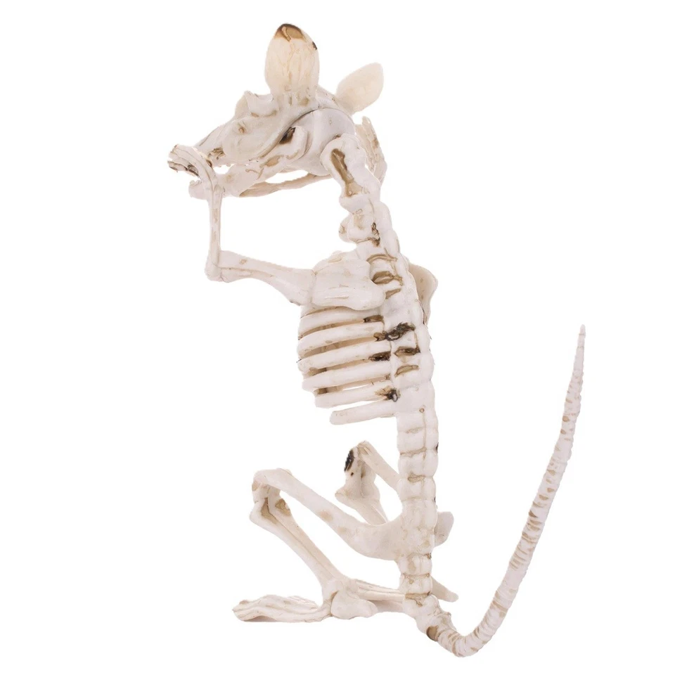 HUESOS DE ESQUELETO DE RATA de horror espeluznante de 7 pulgadas posable economía Halloween utilería decoración Foto 3 de 4