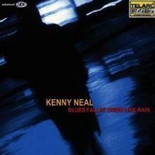 Blues Fallin Down Like Rain von Kenny Neal | CD | Zustand sehr gut