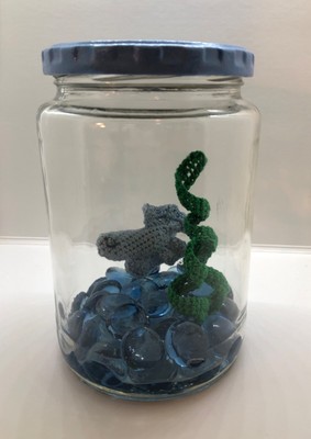 betta fish jar