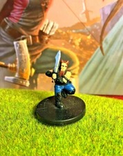 Dwarf Barbarian D D Miniature Dungeons Dragons Dragoneye rogue fighter monk 18 A