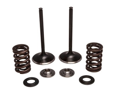 Kibblewhite Precision Stainless Steel Intake Only Valve/Spring 30-33250