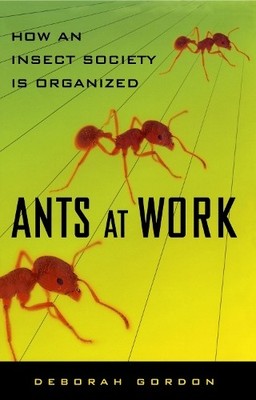 Deborah Gordon Ants At Work (Paperback)