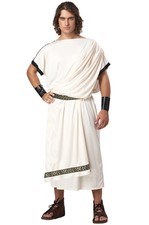Men's Deluxe Classic Toga Roman Greek Adult Costume