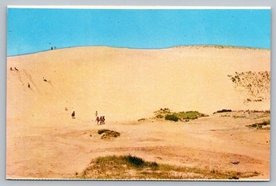 Fun On The Dunes Cape Cod National Seashore Mass MA Vintage Postcard