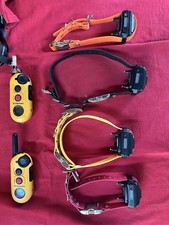 Educator EZ-904 Electronic Dog Training Colla...