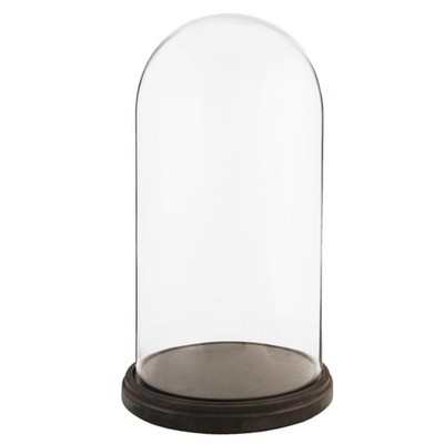 Glasaufsteller Glocke Glas rund Cloche dunkler Holzsockel Aufsteller 47 cm