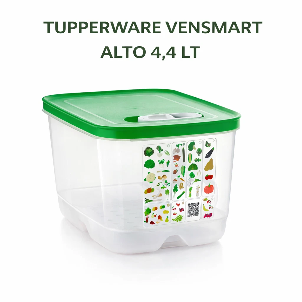 Contenitori Divisi Plastica ABS Confezione Da 25 Vassoi Per Panini Con Coperchi - Vassoi Da Buffet In Plastica Riutilizzabili Organizzazione Verdure