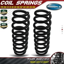 2x Coil Springs Rear Suspension for BMW 1 E81 E82 E87 3 E92 2004-2013 RA7061