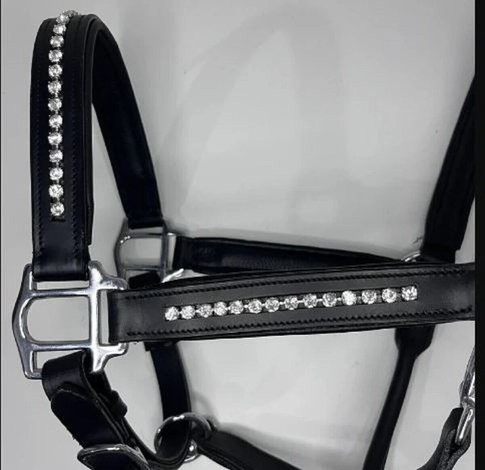 Klar Kristall Leder Pferd gepolstert Kopfhalsband Halfter alle Größen & Farben. - Bild 3 von 4