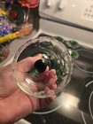 VINTAGE ROEMER STEMMED GERMAN GLASSES- NEW - 6 — photo 9
