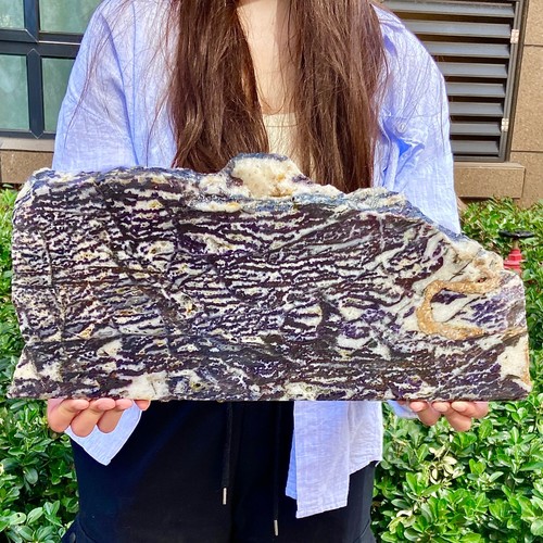 6.5LB Natural zebra stone slices/black stripes/purple fluorite symbiosis - 第 8/12 張圖片
