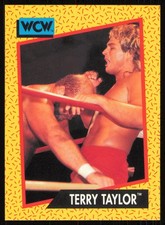1991 Impel WCW #75 Terry Taylor